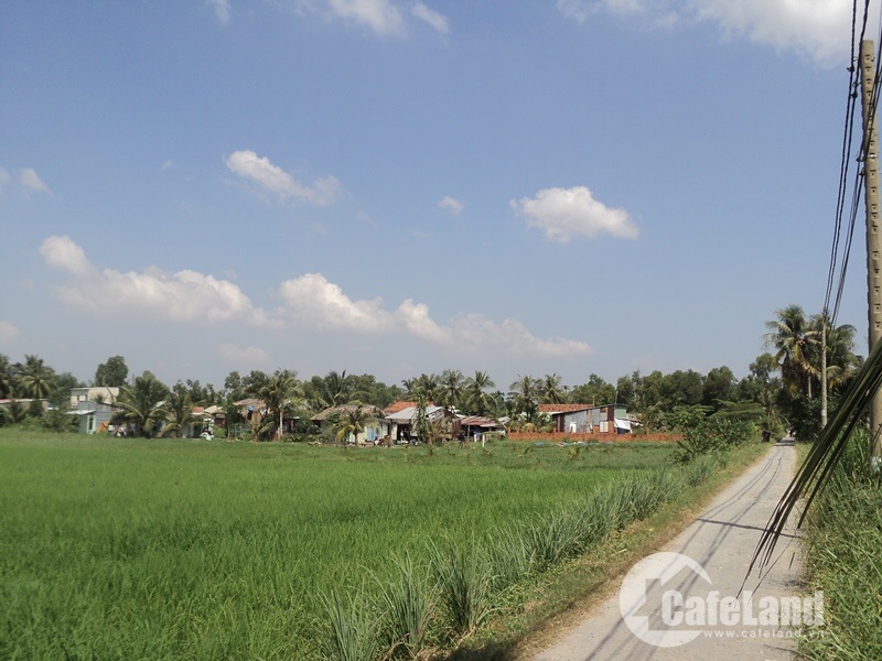 Bình Quới – Thanh Đa - Làng quê giữa phố thị sau hơn 26 năm quy hoạch. Ảnh: Nguyễn Văn
