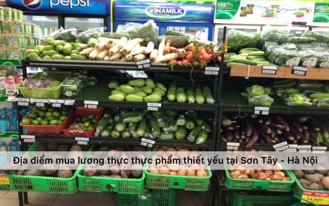 Địa điểm mua lương thực thực phẩm thiết yếu trong mùa dịch tại thị xã Sơn Tây - Hà Nội