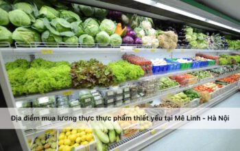 Địa điểm mua lương thực thực phẩm thiết yếu trong mùa dịch tại huyện Mê Linh - Hà Nội