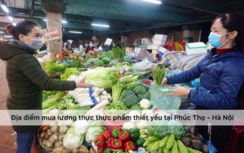 Địa điểm mua lương thực thực phẩm thiết yếu trong mùa dịch tại huyện Phúc Thọ - Hà Nội