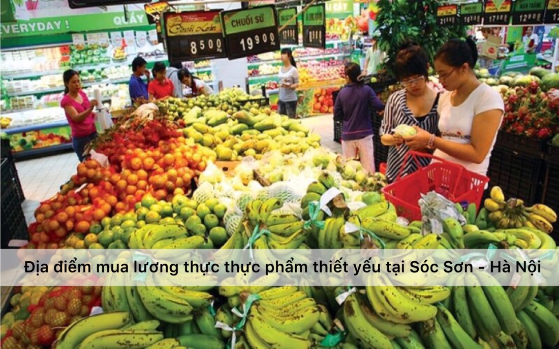 Địa điểm mua lương thực thực phẩm thiết yếu trong mùa dịch tại huyện Sóc Sơn - Hà Nội
