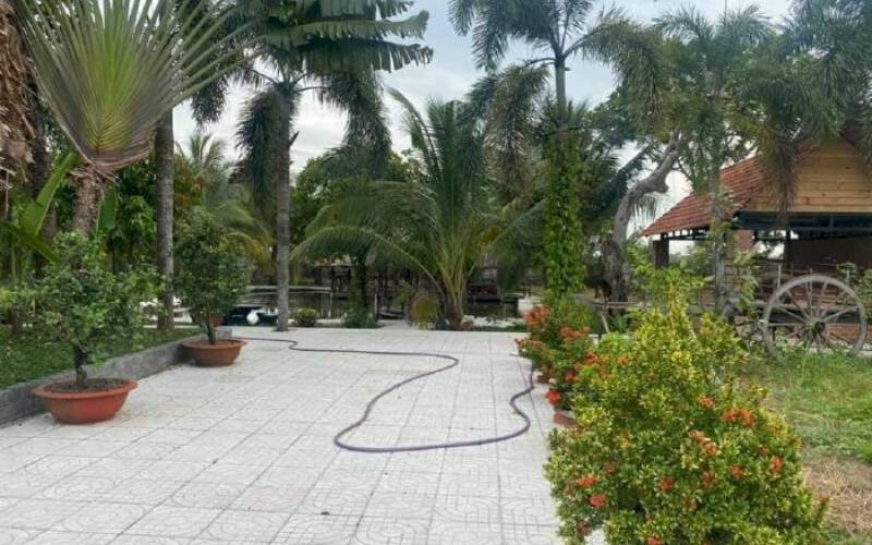 Nhà vườn Củ Chi diện tích 4000m2 thích hợp nghỉ dưỡng tại xã An Nhơn Tây
