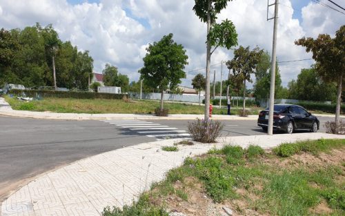 Hình ảnh thực tế Hiển Vinh Đại Phúc 3
